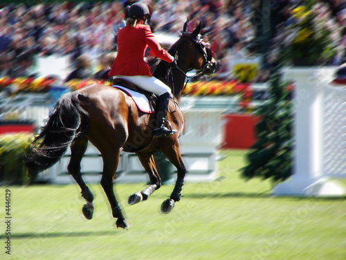 Equestrian Jumper on Course © Destinyvp
