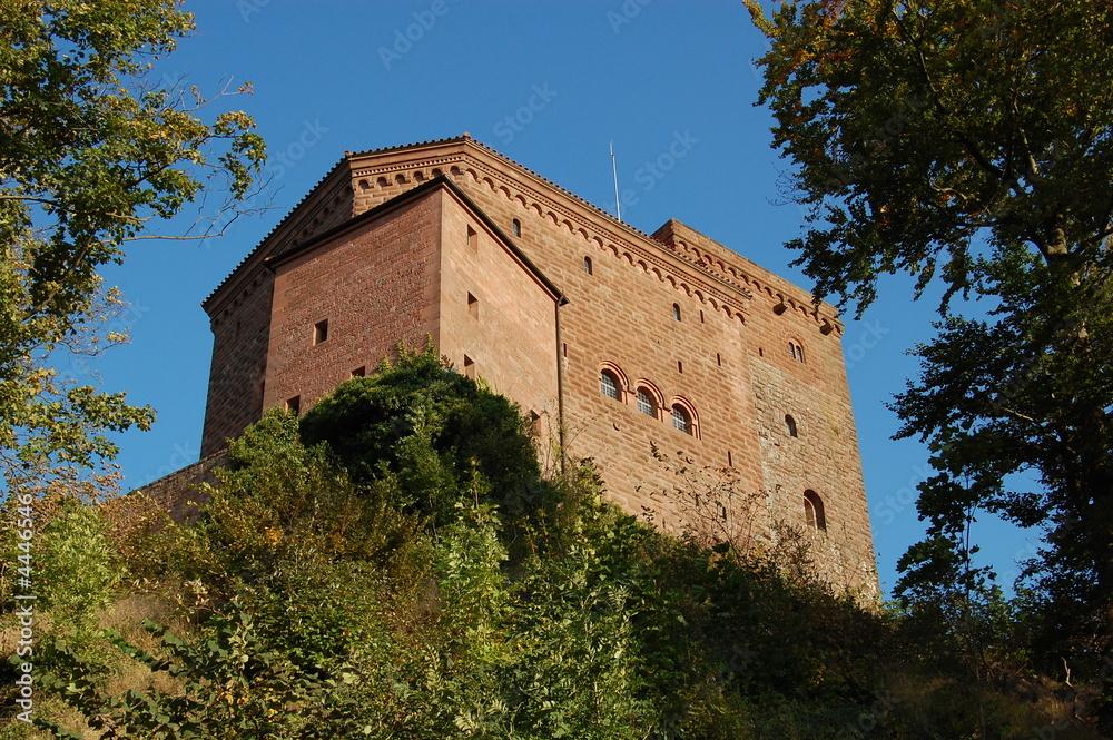 Burg Trifels (2007)