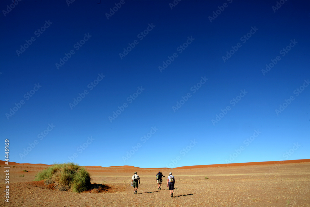 Obraz premium Africa Namibia 