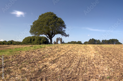 Farming Landscape