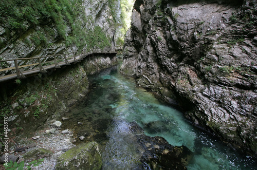 Mountain river gorge