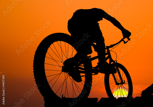 mountain biker silhouette #4457389