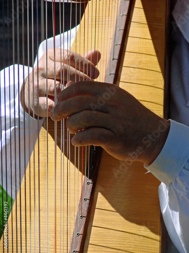 Playing the Harp