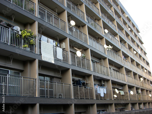 Wallpaper Mural aparments Torontodigital.ca