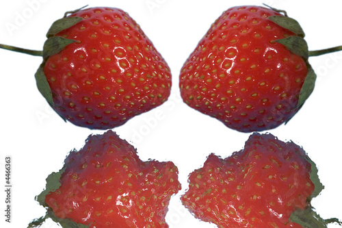 Фотография strawberries