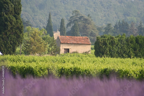 Le petit cabanon photo