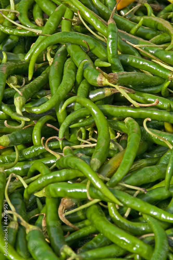 Cayenne Peppers Cayenne Peppers
