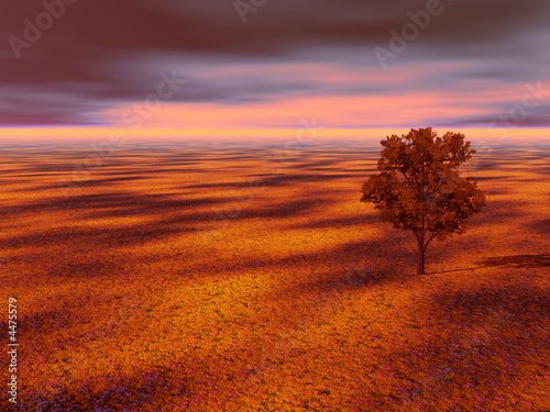 paysage de campagne d'automne