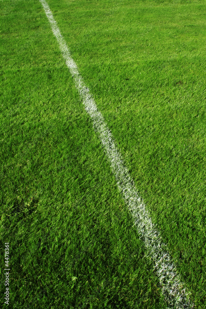 Pelouse de terrain de foot