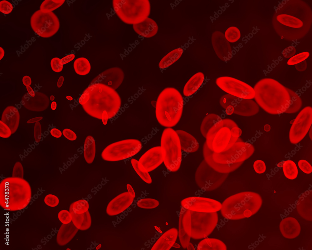 Red blood cells Red blood cells