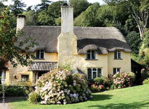 'Chocolate Box' EnglishThatched Cottage