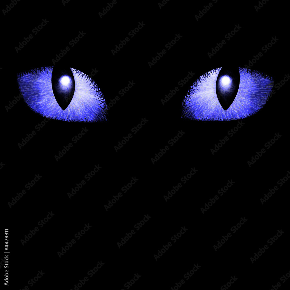 Two feline eyes