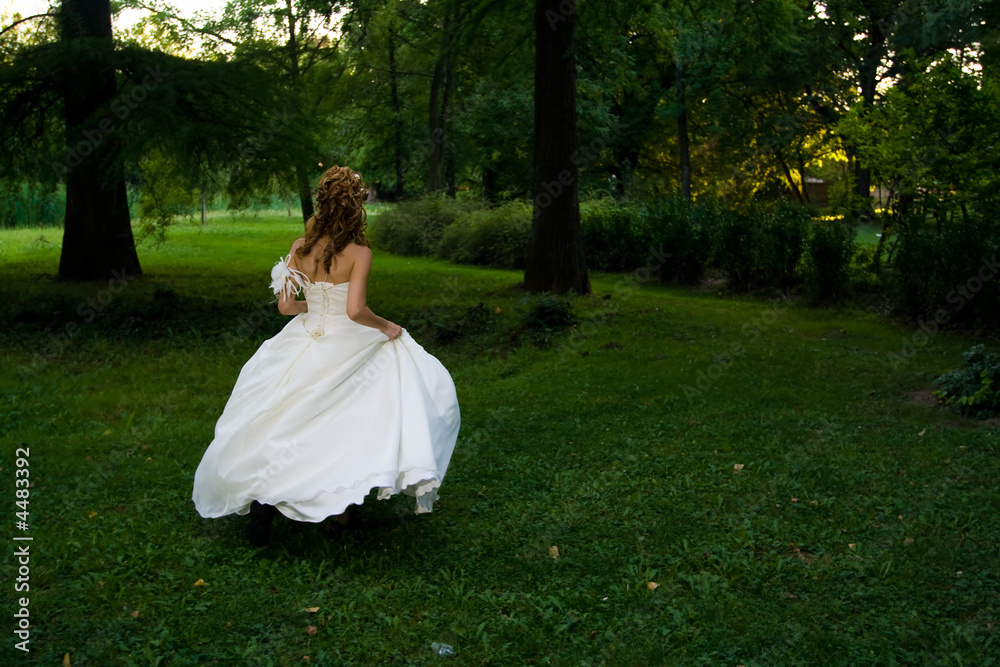Wedding concept - bride in wedding dress Wedding concept - bride in wedding dress