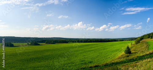 Beautiful summer landscape. The nature. Panorama