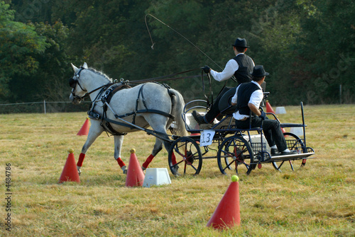 épreuve de maniabilité d'un concours d'attelage photo