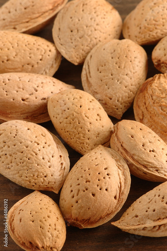 Grupo de almendras