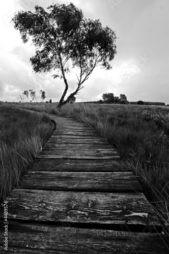 Bohlenweg photo