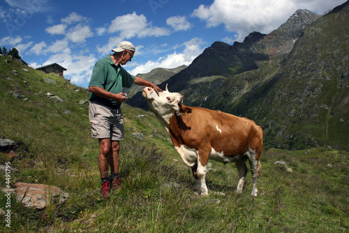 Begegnung auf der Alm