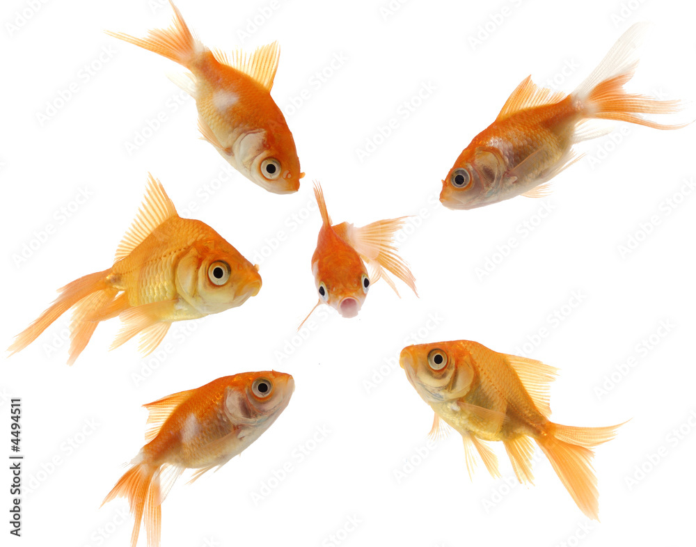 Surrounded Surrounded