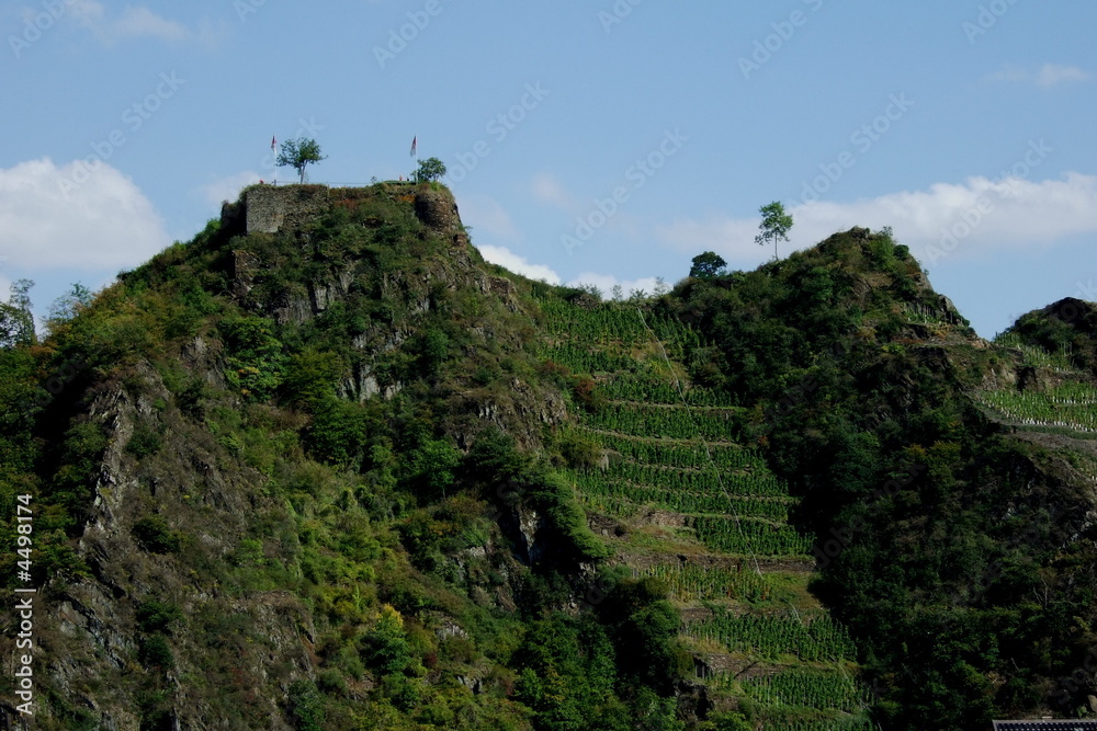 Weinanbau an Steilhängen bei Mayschoß an der Ahr