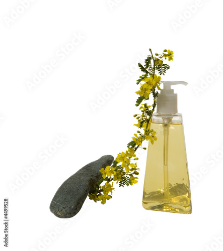 Palo Verde Liquid Soap from Mother Nature