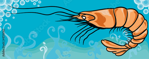 Shrimp