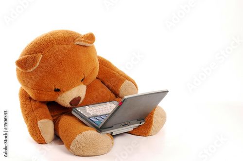 Oso peluche con ordenador