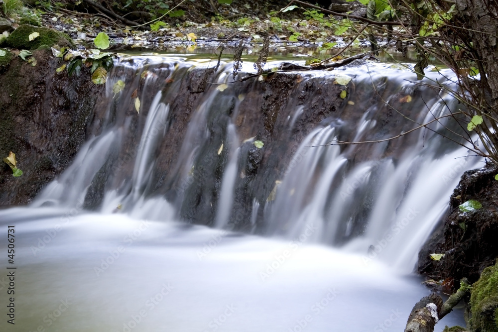 Fototapeta premium Creek in the forrest