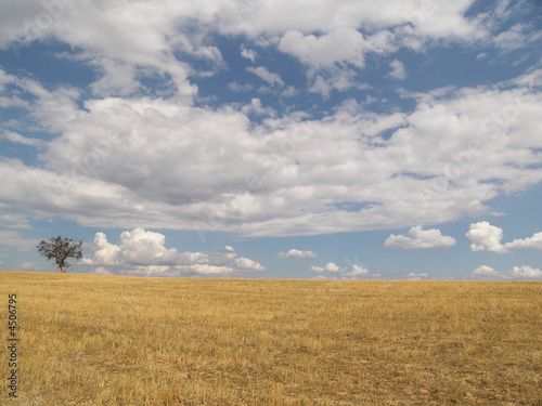 Paesaggio maremmano