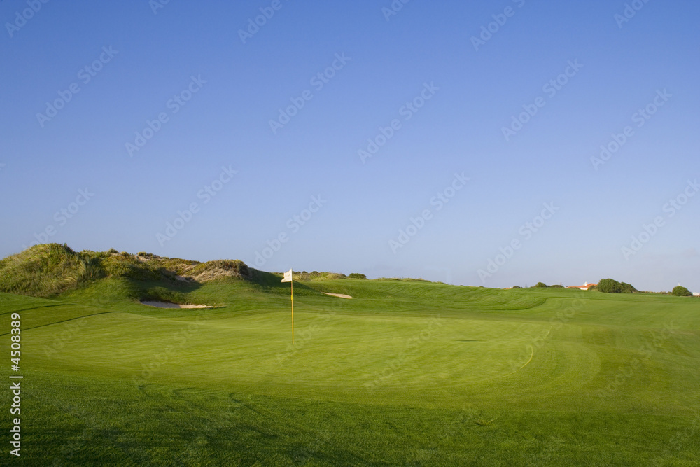 Naklejka premium Green in a golf course