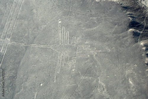Ligne de Nasca : le colibri