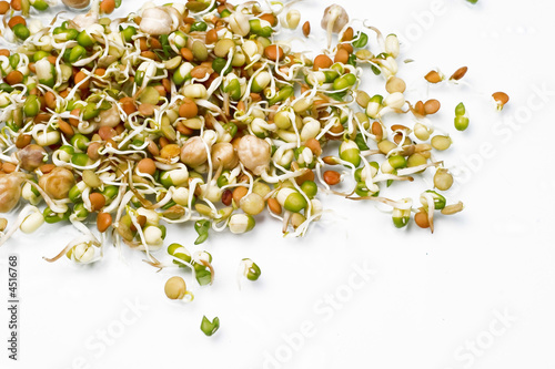 Mix of sprouts. Healthy food.