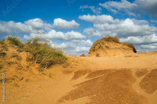 Dune