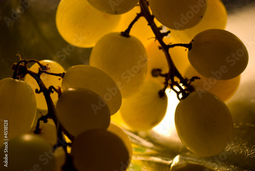 grappe, raisins, blanc,grains,