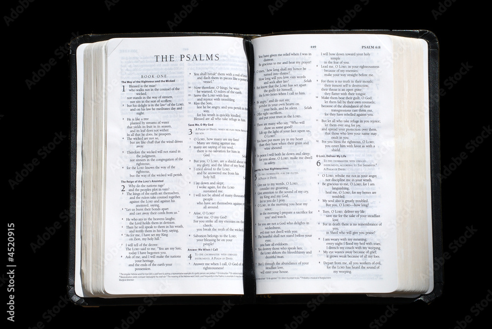 Obraz premium the psalms