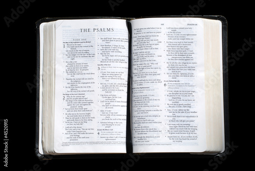 the psalms photo