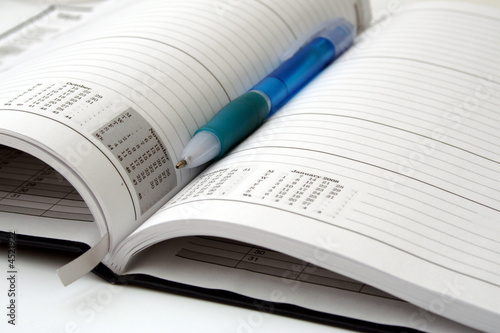 Pen on a Diary
