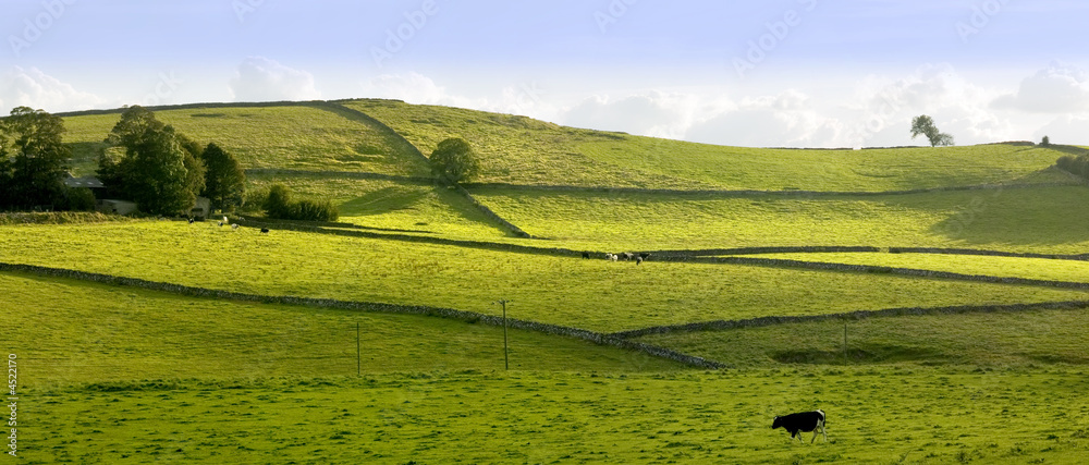 Fototapeta premium peak district