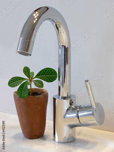 Moderner Wasserhahn mit Pflanze - Einhebelmischer photo