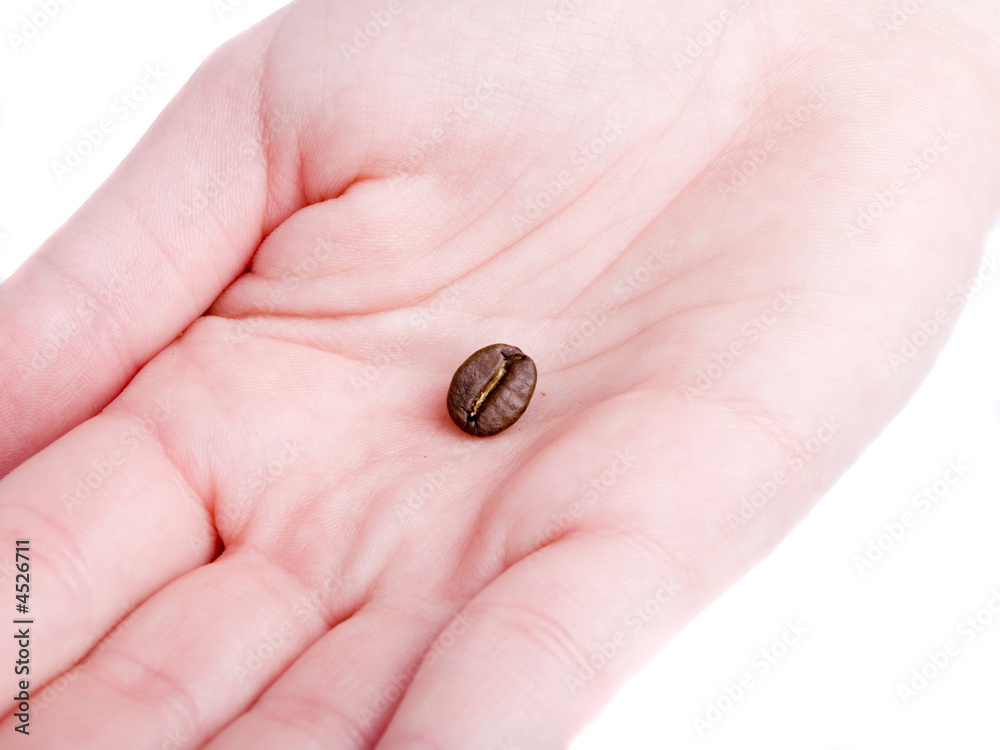 hand with coffee bean hand with coffee bean