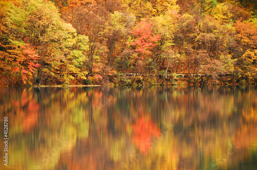 Autumn Reflection