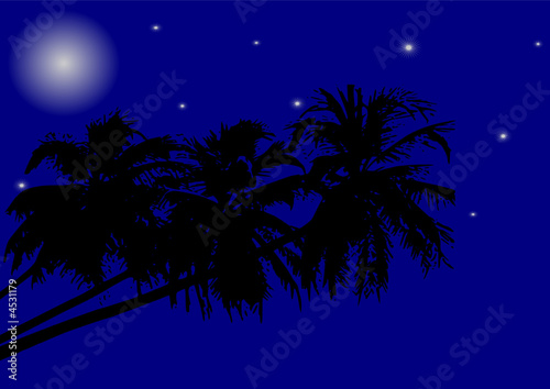 nuit