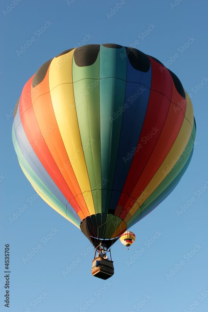Fototapeta premium Hot air balloon