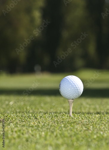 Golf Ball
