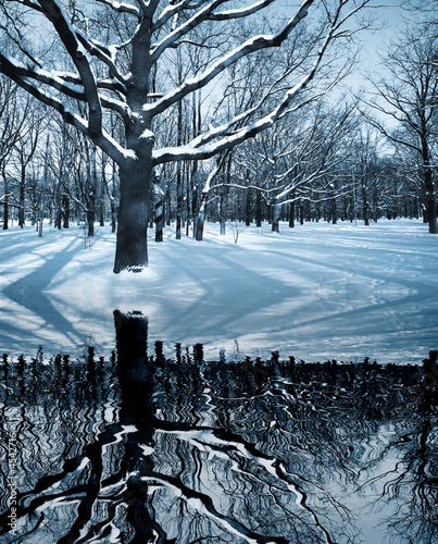 Winter scenery