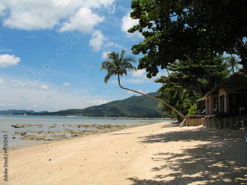 plage de sable blanc et cocotiers