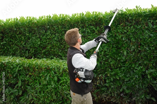 hedge trimming