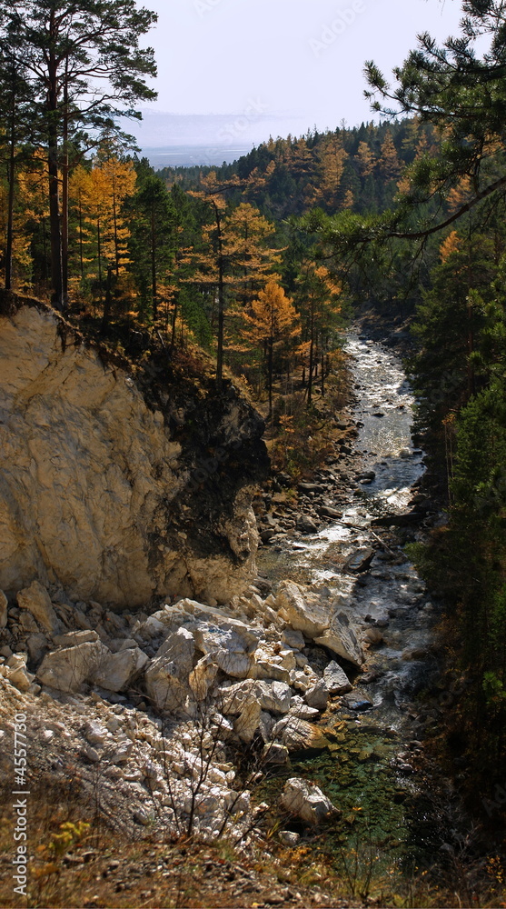 Obraz premium river