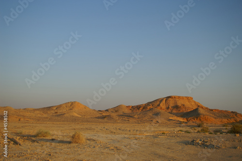 arava desert