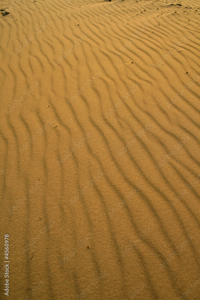 Desert Sand Desert Sand